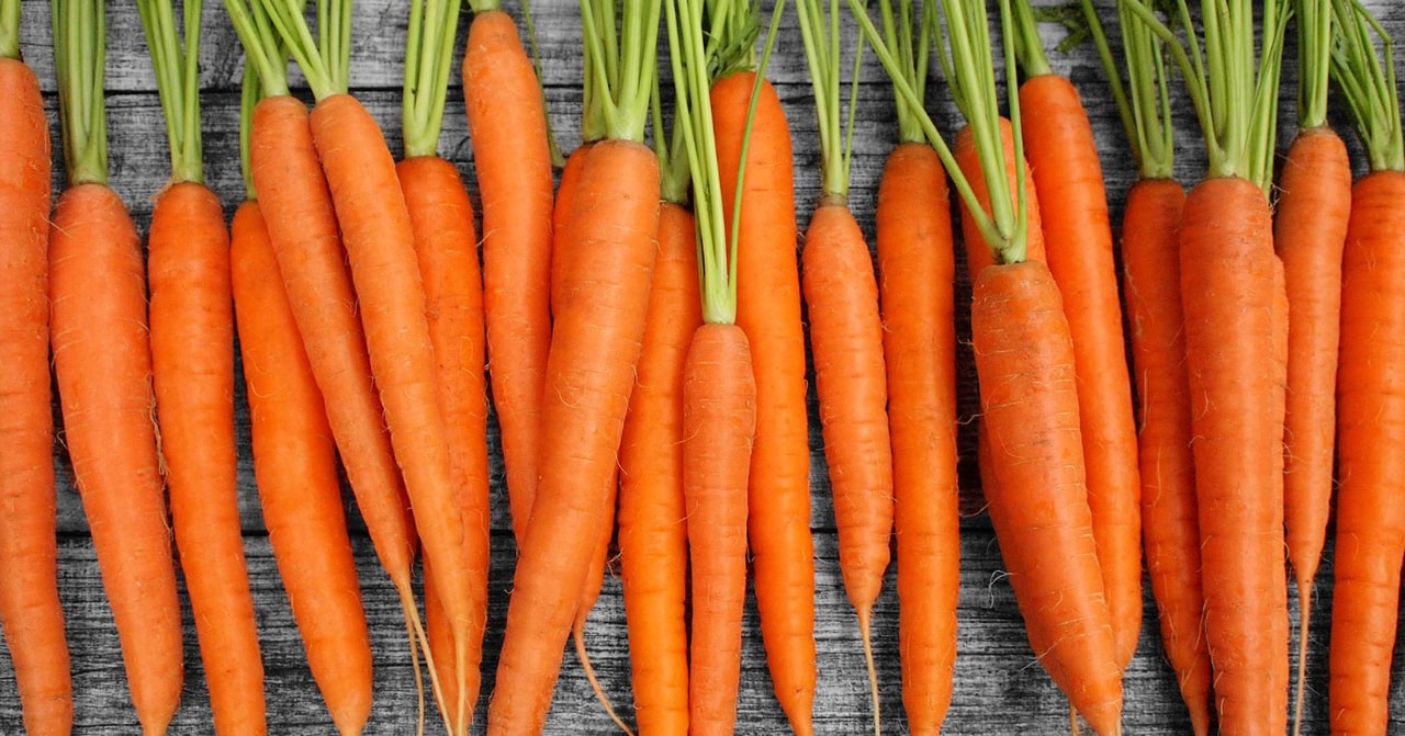 Wyma - Carrots