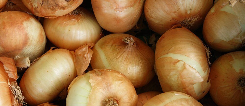 Onions